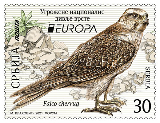 2021_Serbia_604fccecf0.png